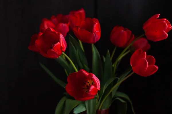 Incrível Florescendo Buquê Tulipas Vermelhas Fundo Preto Moody Escuro Baixo — Fotografia de Stock