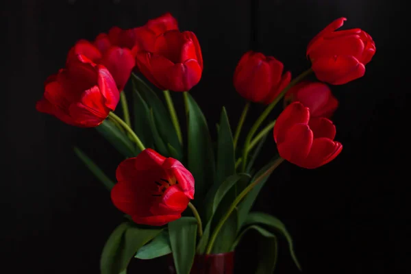Niesamowity Bukiet Czerwonych Tulipanów Czarnym Tle Ciemny Nastrój Niski Klucz — Zdjęcie stockowe