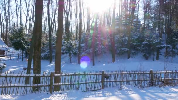 Trähus Fjällskog Täckt Med Snö Naturlandskap Skidanläggningens Familjeaktiva Vila Snöig — Stockvideo
