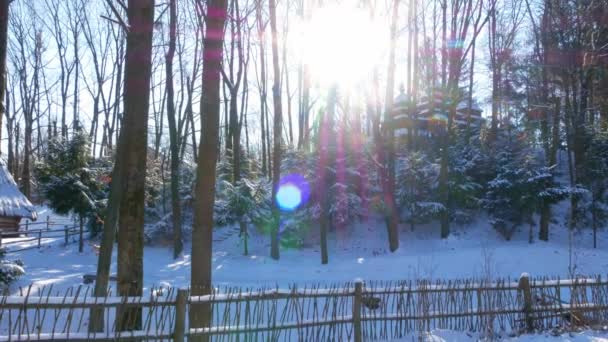 Holzhaus Schneebedeckten Bergwald Auf Naturlandschaft Skigebiet Familie Aktive Erholung Verschneite — Stockvideo