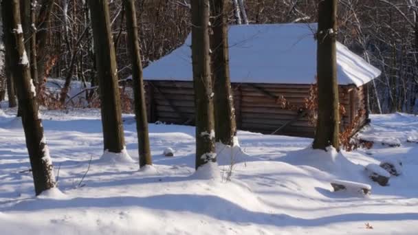 Casa Madera Bosque Montaña Cubierta Nieve Paisaje Natural Estación Esquí — Vídeo de stock
