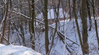 Dağlardaki ahşap ev, doğa manzarasında karla kaplı orman. Kayak merkezi aile dinlenmesi. Karlı kış tatilleri. 4K binasına yavaşça kar taneleri düşüyor. Sakin, sakin, karlı sahne.