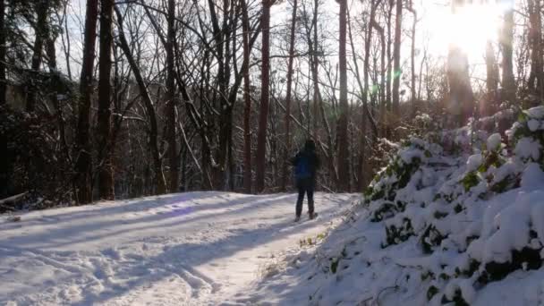 Hombre Excursionista Viajero Vistiendo Ropa Invierno Caminando Por Nieve Paisaje — Vídeos de Stock