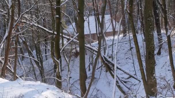 Casa Madeira Montanhas Floresta Coberta Neve Paisagem Natureza Estância Esqui — Vídeo de Stock