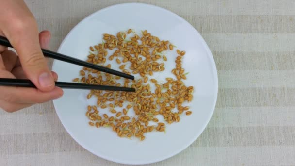 Filizlenmiş Buğday Tabağı Erkek Yemek Çubukları Keten Arka Plan Makrobiyotik — Stok video