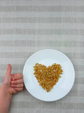 Çarşaf arka planında, çocuğun ellerinde filizlenmiş buğday. Makrobiyotik gıda vejetaryen yemeği filizlendirir. Sağlıklı beslenme konsepti. Baharda evde yetişen bitkiler. Taze filizler filizlenir, Protein zengini süper yiyecekler