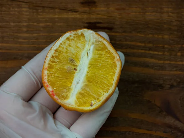 Ugly food trend. Spoiled yellow lemon half with red mold close up on wooden background. Moldy citrus penicillin unhealthy inedible fruit. Dangerous toxic harmful product, laboratory scientist research