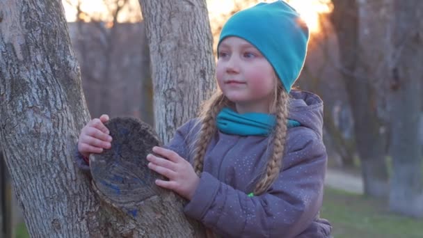 Szczęśliwa Dziewczyna Długim Warkoczem Portret Włosów Parku Wiosennym Siedzi Drzewie — Wideo stockowe