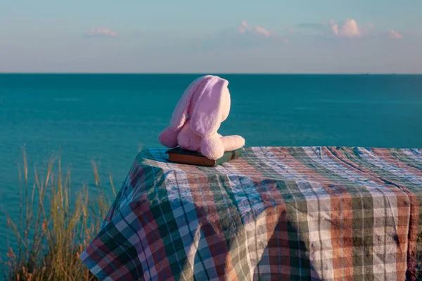 Yumuşak pembe tavşan oyuncağı deniz manzarası arka planında bir masanın üzerinde bir kitap üzerinde. Mavi suya bakan sevimli tavşanlar. Arkadaşlık dinlenme eğlence seyahat konsepti.