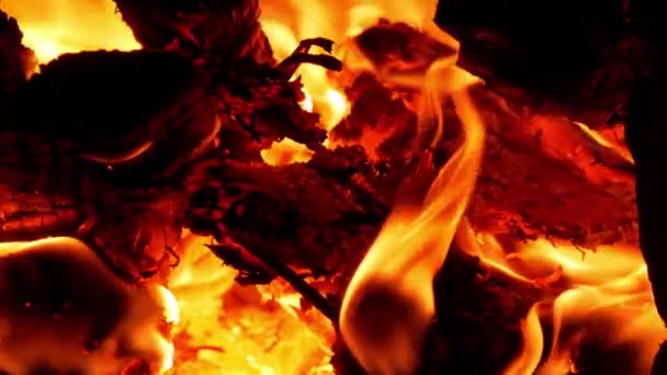 Brandhout Verbranden Landelijke Oven Rood Oranje Vlam Van Houtkachel Het — Stockvideo
