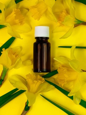 Bitki özlü cam şişe düşürücü maketi. Alternatif doğal tıp, cilt bakımı, spa aromaterapisi, vücut tedavisi, boş güzellik ürünü şablonu. Sıvı D vitamini Omega-3 takviyesi.