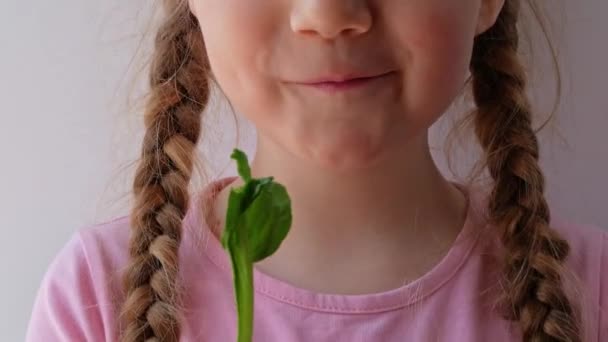 Menina Com Espinafre Fresco Mão Fundo Branco Criança Come Alimentos — Vídeo de Stock