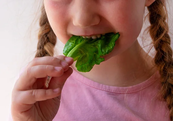 Klein Meisje Met Verse Spinazie Hand Witte Achtergrond Kind Eet — Stockfoto
