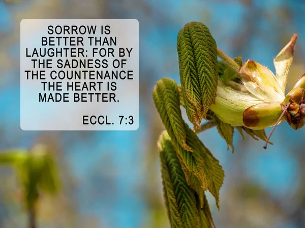 Bible quotes on blurred blooming green nature background. Card for believers. Inspirational verse praying.Christian wallpaper. Sorrow better than laughter sadness of countenance heart is made better