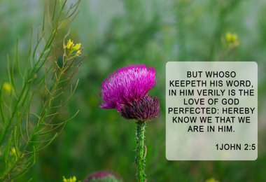 Bulanık çiçeklerdeki İncil alıntıları. Müminler için bir kart. İlham verici dua dizeleri. Hıristiyan duvar kağıdı. Kim sözünü yerine getirirse, bilsin ki, Allah 'ın sevgisi, sırf O' nun üzerinedir.