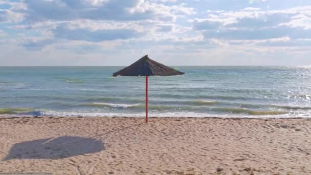 Boş Kumsalda Saman Şemsiyesi Sert Gölgesi Canlı Mavi Deniz Suyu — Stok video