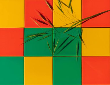 Mozaik renkli döşeme dokusunda sert gölgesi olan doğal yeşil çimenler. Parlak soyut yaz arkaplan seramik dış mimari. Çok renkli kreatif ev cephesi duvar kağıdı kopya alanı