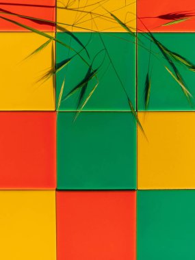 Mozaik renkli döşeme dokusunda sert gölgesi olan doğal yeşil çimenler. Parlak soyut yaz arkaplan seramik dış mimari. Çok renkli kreatif ev cephesi duvar kağıdı kopya alanı