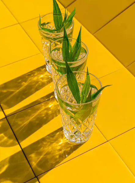 Bebidas Refrescantes Verão Copos Cristal Com Folhas Verdes Fundo Azulejo — Fotografia de Stock