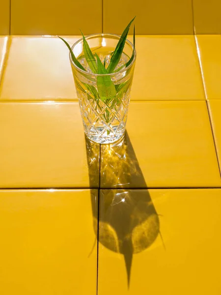 Bebidas Refrescantes Verão Copos Cristal Com Folhas Verdes Fundo Azulejo — Fotografia de Stock