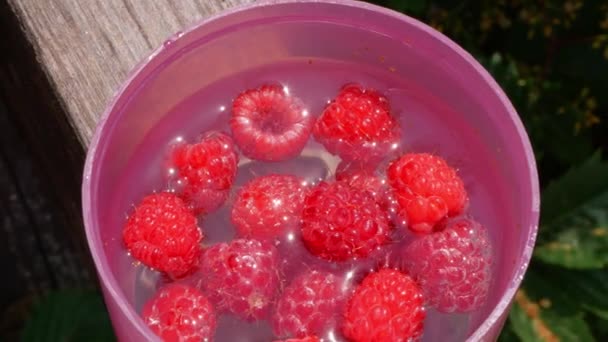 阳台阳光明媚的日子里 覆有新鲜草莓和粉色杯子的覆盆子茶 白羊座 健康的夏季草药饮料杯 水果天然维生素素食维生素早餐 园艺当地菜园种植4K — 图库视频影像