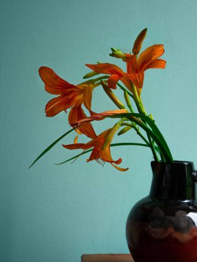 Kaplan zambağı seramik vazoda gölgeli turkuaz duvar arka planında. Lilium lancifolium portakal çiçeği buketi ahşap çiftlik masasında. Yazlık kır evi estetiği ülke kırsal minimalizm karanlık stil.