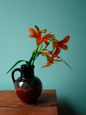 Kaplan zambağı seramik vazoda gölgeli turkuaz duvar arka planında. Lilium lancifolium portakal çiçeği buketi ahşap çiftlik masasında. Yazlık kır evi estetiği ülke kırsal minimalizm karanlık stil.