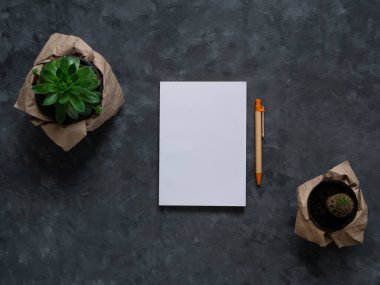 Beyaz boş defter, koyu arka plan düzlüğü. Asgari çalışma alanı çizim defteri şablonu, ekolojik kağıt kalem, yeşil bitki üst görünümü. Okul afişine, kırtasiyeye, ofis aletleri eğitimine geri dön