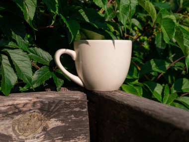 White porcelain tea cup mockup on wooden balcony with green wild grapes country sityle. Mug template warm healthy drink. Hot brewed natural beverage. Cozy sweet home weekend morning breakfast cottage