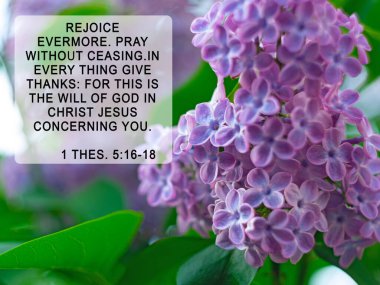 Leylak çiçeği arka planında İncil 'den bir alıntı. İlham, Hıristiyan dua şiirleri. Sonsuza dek neşelenin. Hiç durmadan dua edin. Her şeyde şükredin. Çünkü bu, İsa Mesih 'in sizinle ilgili iradesidir.