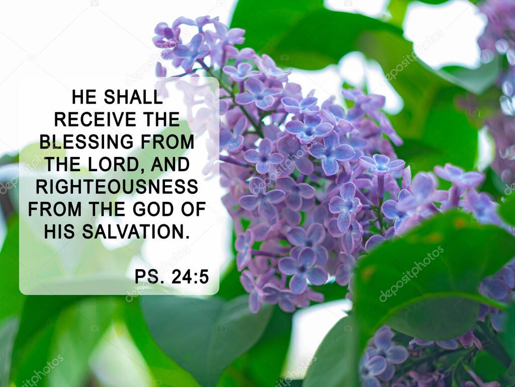 Bible quote on lilac flower. Inspiration Christian praying verse. He shall receive the blessing from the lord, and righteousness from the God of his salvation. Motivation banner for believers websites
