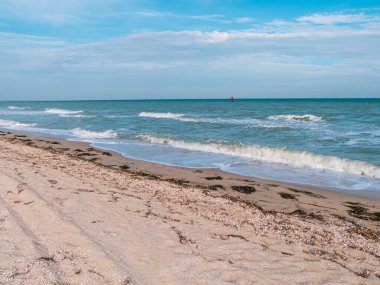 Okyanus dalgalarında folyo kanat kullanarak hidrofolyo sörf tahtasına binen sporcu. Sonbahar ekstrem sporu. Sonbahar tatili eğlencesi. Kumsalda rüzgarlı bir hava.