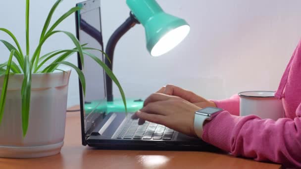 Női Szabadúszó Gépel Laptop Billentyűzetén Otthoni Munka Távoktatási Iroda Diáklány — Stock videók