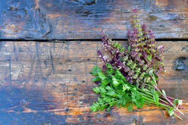 Bir demet taze maydanoz ve çiçekli fesleğen filizi. Tahta desenli, ıslak bir tezgahta.. 