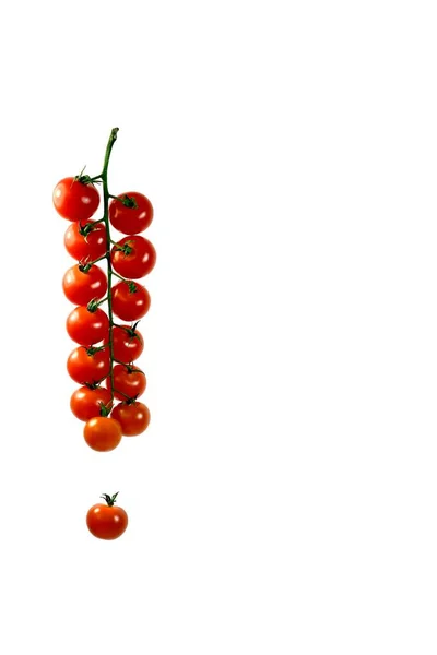Una Rama Pequeños Tomates Cherry Frescos Que Cuelgan Verticalmente Con — Foto de Stock