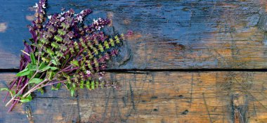 Bir demet taze maydanoz ve çiçekli fesleğen filizi. Ahşap desenli ıslak arkaplan.