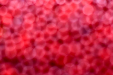 The background is red, defocused, one dimensional. Bokeh looks like blood cells, flat bodies, erythrocytes.