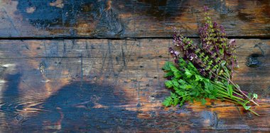 Bir demet taze yeşil maydanoz ve çiçekli mor fesleğen. Tahta desenli ıslak arka planda..