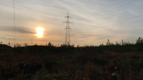 Taiga Com Taças Baga Pântanos Direcção Linha Eléctrica Contra Fundo — Vídeo de Stock