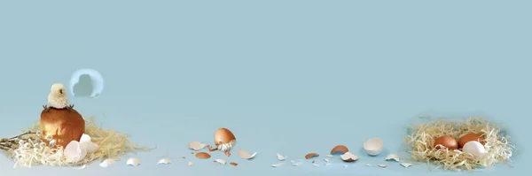 Banner uma história engraçada do nascimento de galinhas. Ninho com ovos, bolo de Páscoa com raminhos de salgueiro dois bebês eclodidos. — Fotografia de Stock