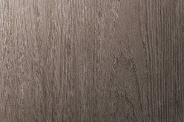 Gri, bej rengi koyu bir arka plan. Ağacın boylamsal kesimi.