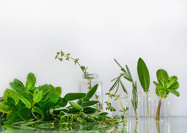 Herbes épicées dans des bouteilles en verre. Aliments thérapeutiques. — Photo