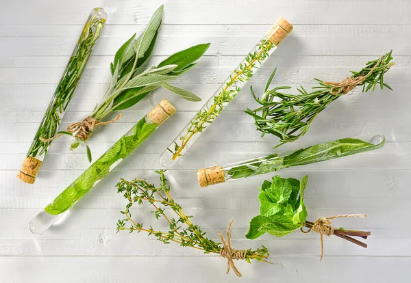 Paquets d'herbes aromatiques et infusions médicinales dans des éprouvettes. Image En Vente