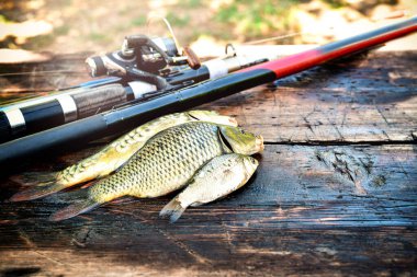 Ahşap zemin üzerinde balık tut.