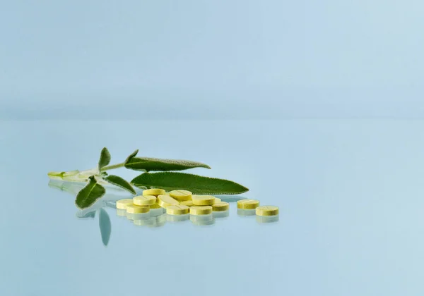 Lozenges and twigs with sage leaves. — Stock Photo, Image