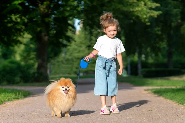 Niño Niña Bonita Está Caminando Con Lindo Pequeño Amigo Pomeranian — Foto de Stock