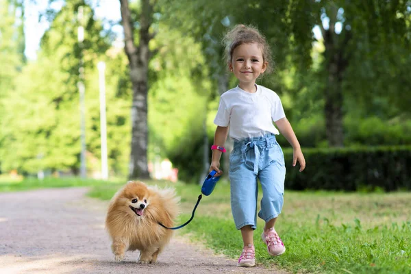 Pretty little girl kid is walking with her cute small friend Pomeranian Spitz puppy, beautiful child holding a dog on a leash at a sunny summer day in park. Children love animals, friendship concept. Stock Image