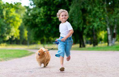 Güzel küçük kız çocuğu, sevimli küçük arkadaşı Pomeranian Spitz köpeğiyle yürüyor. Parkta güneşli bir yaz gününde tasmalı bir köpeği tutan güzel çocuk. Çocuklar hayvanları sever, arkadaşlık kavramını.. 