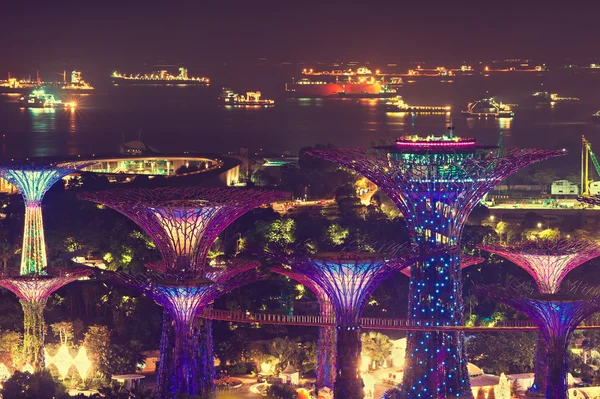 Gardens by the Bay — Stock Photo, Image