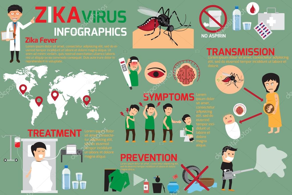 Zika virus infographic elements, transmission, prevention. Stock